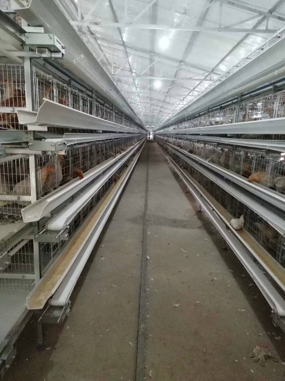 小層疊蛋雞籠