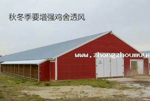 養(yǎng)雞設(shè)備-中州農(nóng)牧