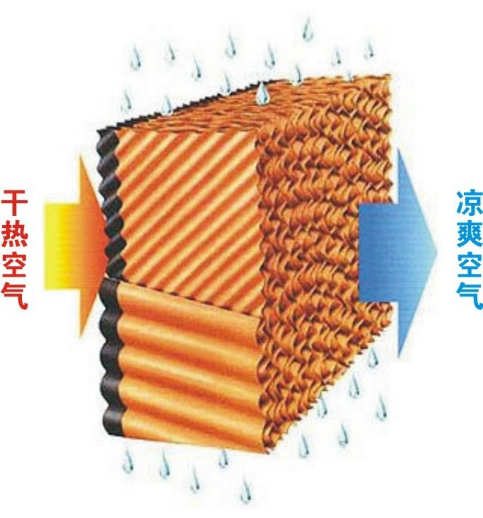 養(yǎng)雞設(shè)備,中州農(nóng)牧科技